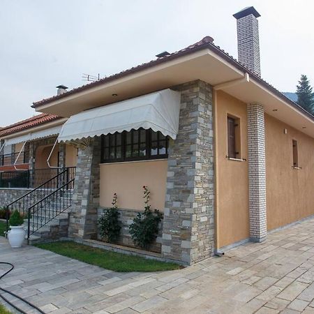 Βίλα Για Όλες Τις Εποχές Του Χρόνου Kozani Bagian luar foto