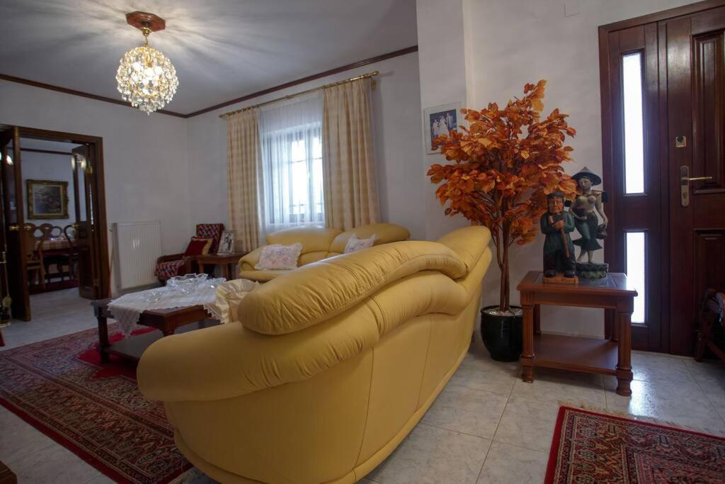 Βίλα Για Όλες Τις Εποχές Του Χρόνου Kozani Bagian luar foto